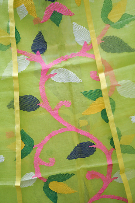 Neon Green pure resham organza jamdani suit