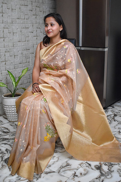 Beige Organza Saree with Meena Flower Work