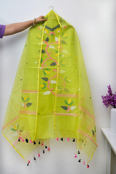 Neon Green pure resham organza jamdani suit